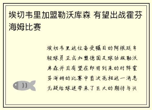 埃切韦里加盟勒沃库森 有望出战霍芬海姆比赛